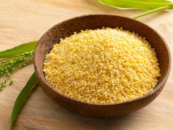 Interesting Facts About Millet