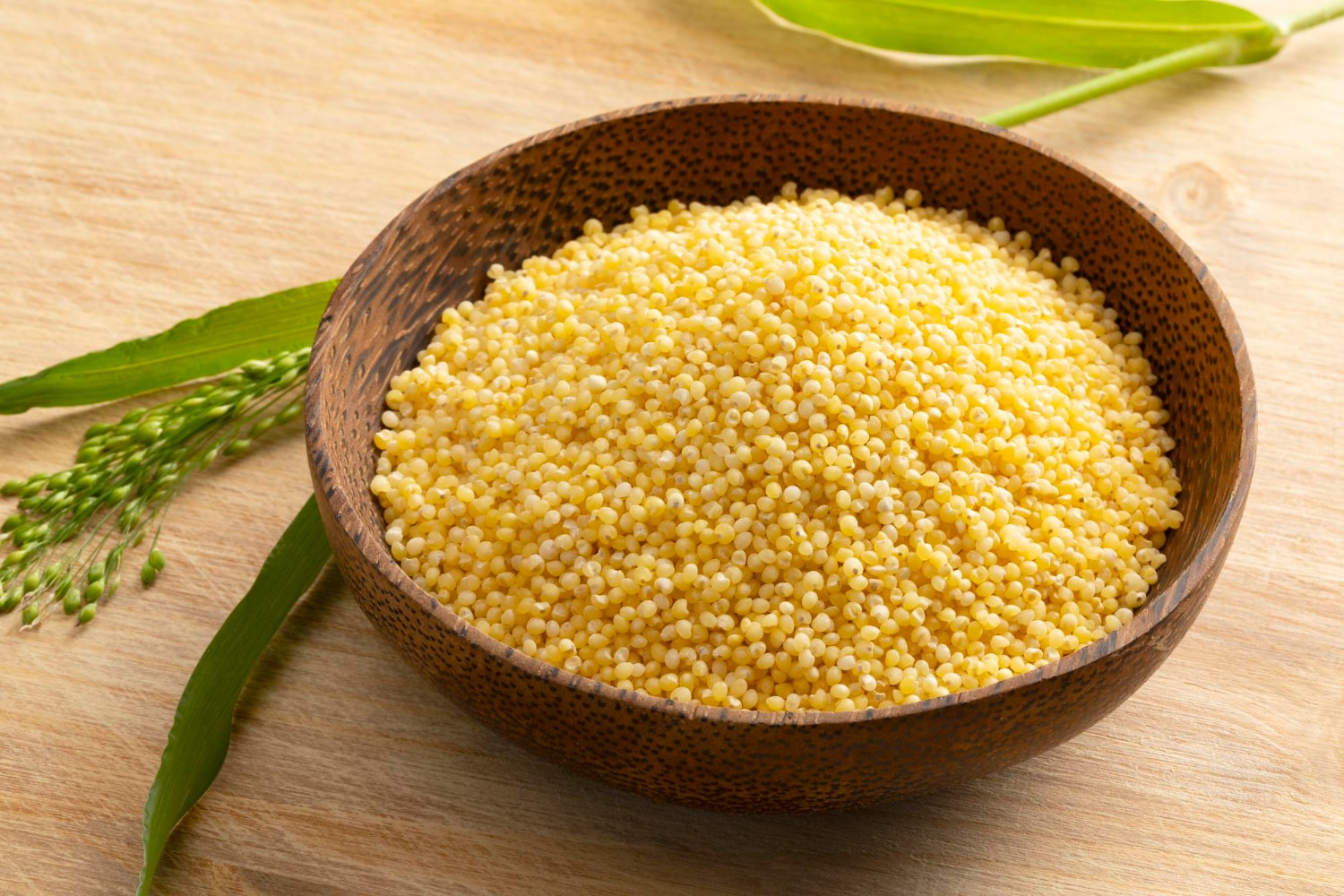 Interesting Facts About Millet