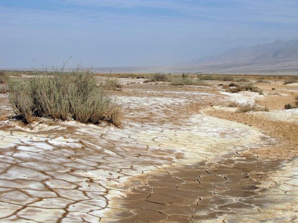 Interesting Facts About Salt Flats (Salt Pans)