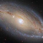 Interesting Facts About Elliptical Galaxies