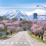 Ciekawostki o Hokkaido