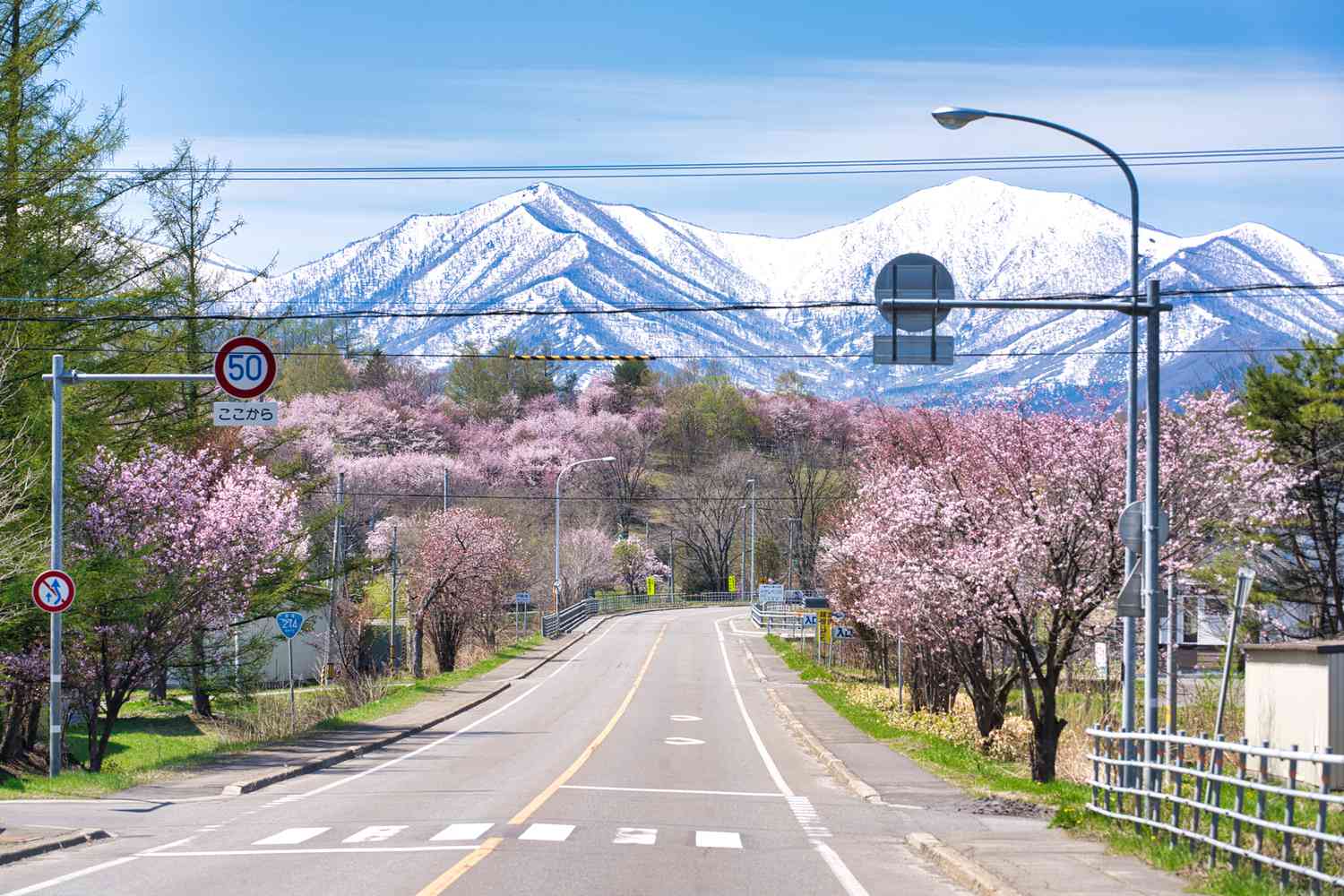 Interesting Facts About Hokkaido