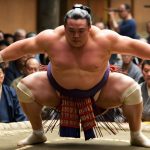 Interesting Facts About Sumo