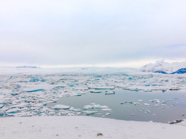 Ciekawostki o Oceanie Arktycznym