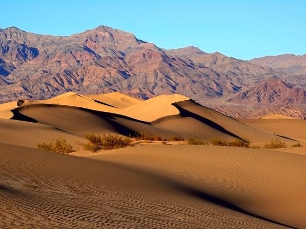 Ciekawostki o pustyni Mojave