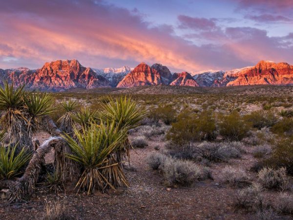 Interesting Facts About Nevada