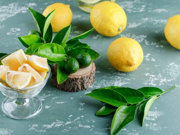 Цікаві факти про лимони