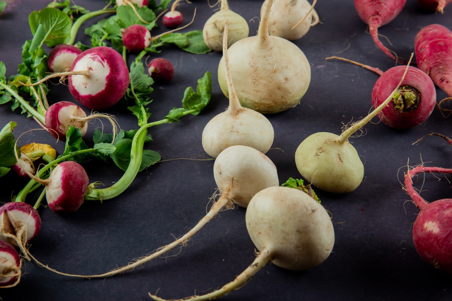 Interesting Facts About Radishes