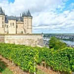 Interesting Facts About the Loire Valley