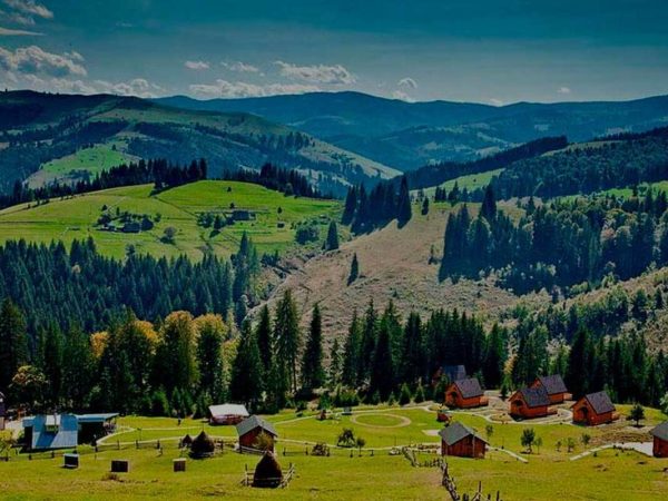 Буковина туралы қызықты деректер