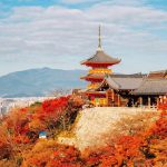 Interesting Facts About Kyoto