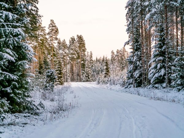 Ciekawostki o zimie
