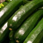 Interesting Facts About Zucchini
