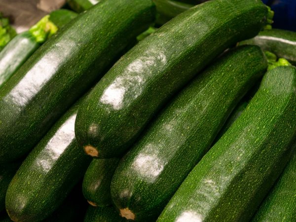 Interesting Facts About Zucchini
