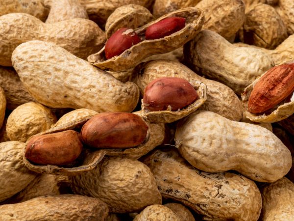 Interesting Facts About Peanuts