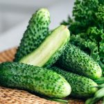 Interesting Facts About Cucumbers