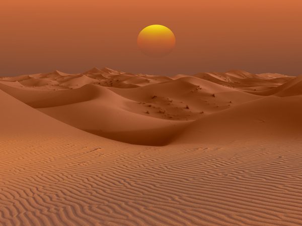 Interesting Facts About the Arabian Desert