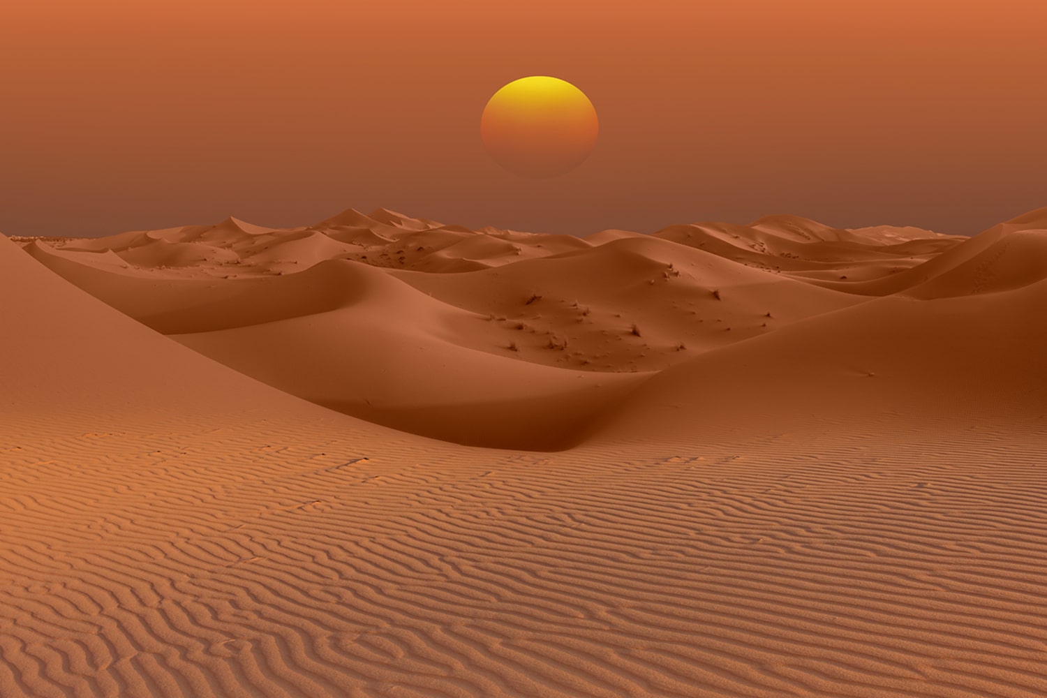Interesting Facts About the Arabian Desert