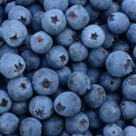 Ciekawostki o borówkach