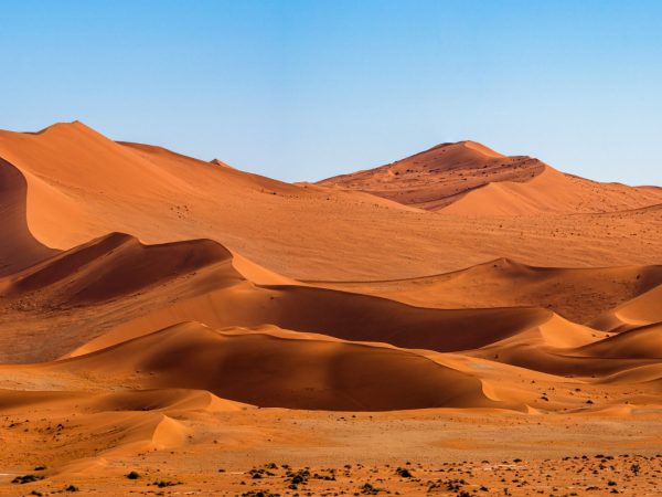 Интересные факты о пустынях