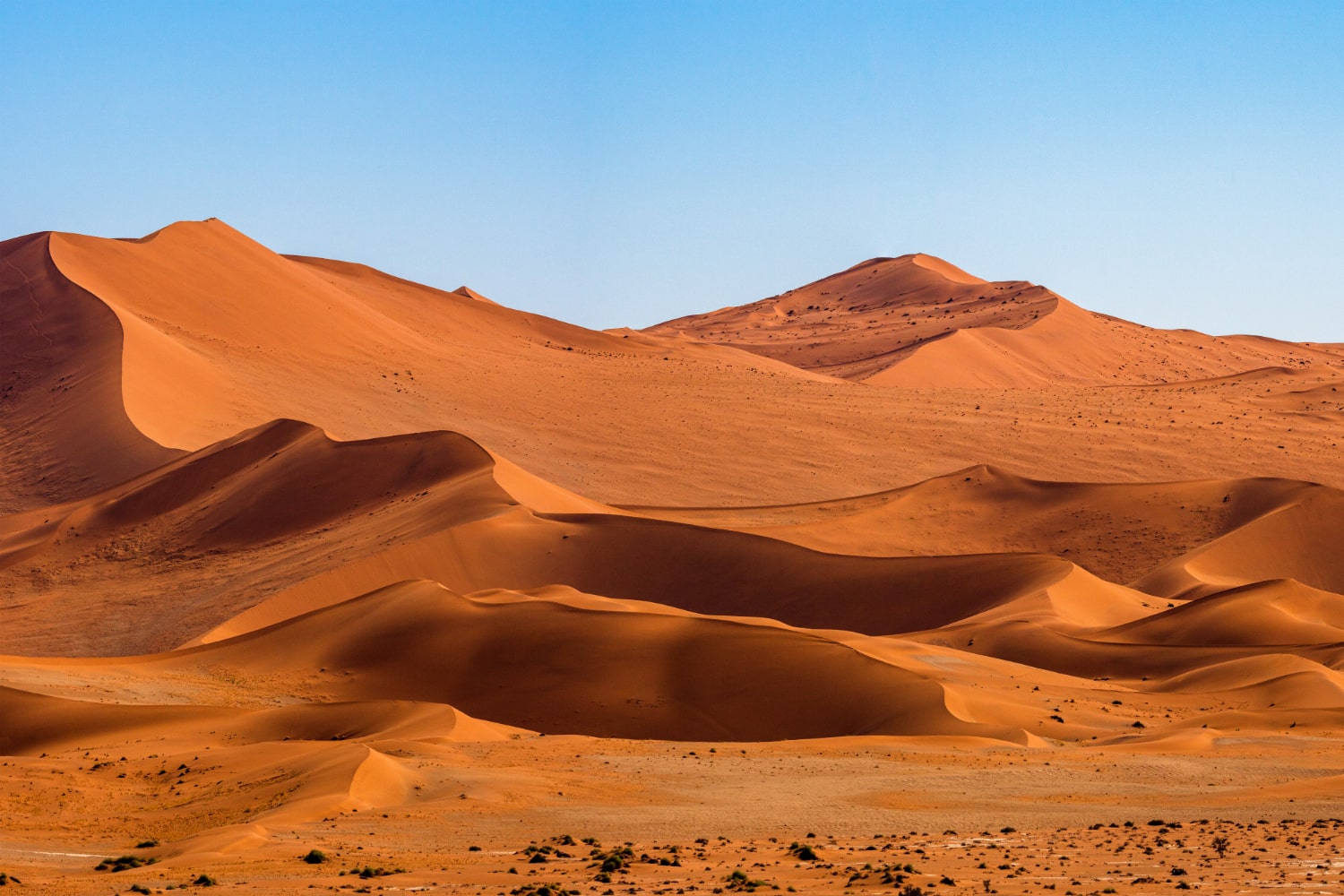 Interesting Facts About Deserts