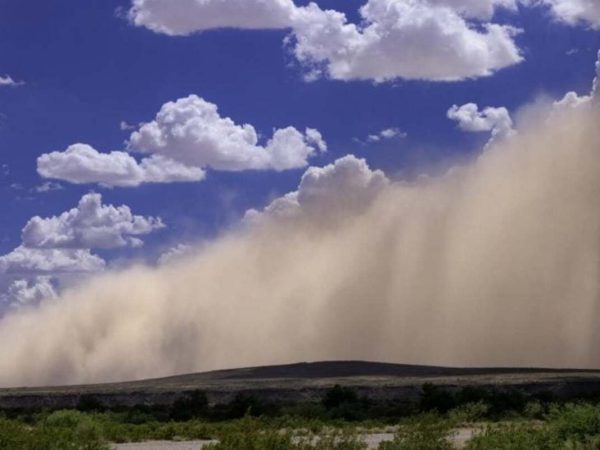 Интересные факты о пылевых столбах