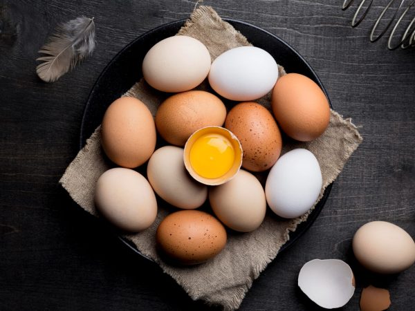 Interesting Facts About Eggs