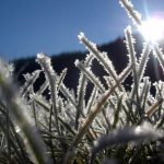 Қырау туралы қызықты деректер