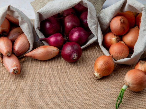 Interesting Facts About Onions