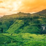 Interesting Facts About Sri Lanka