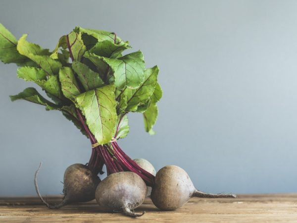 Interesting Facts About Beetroot
