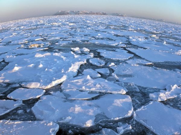Цікаві факти про Берингове море