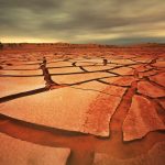 Ciekawostki o suszach