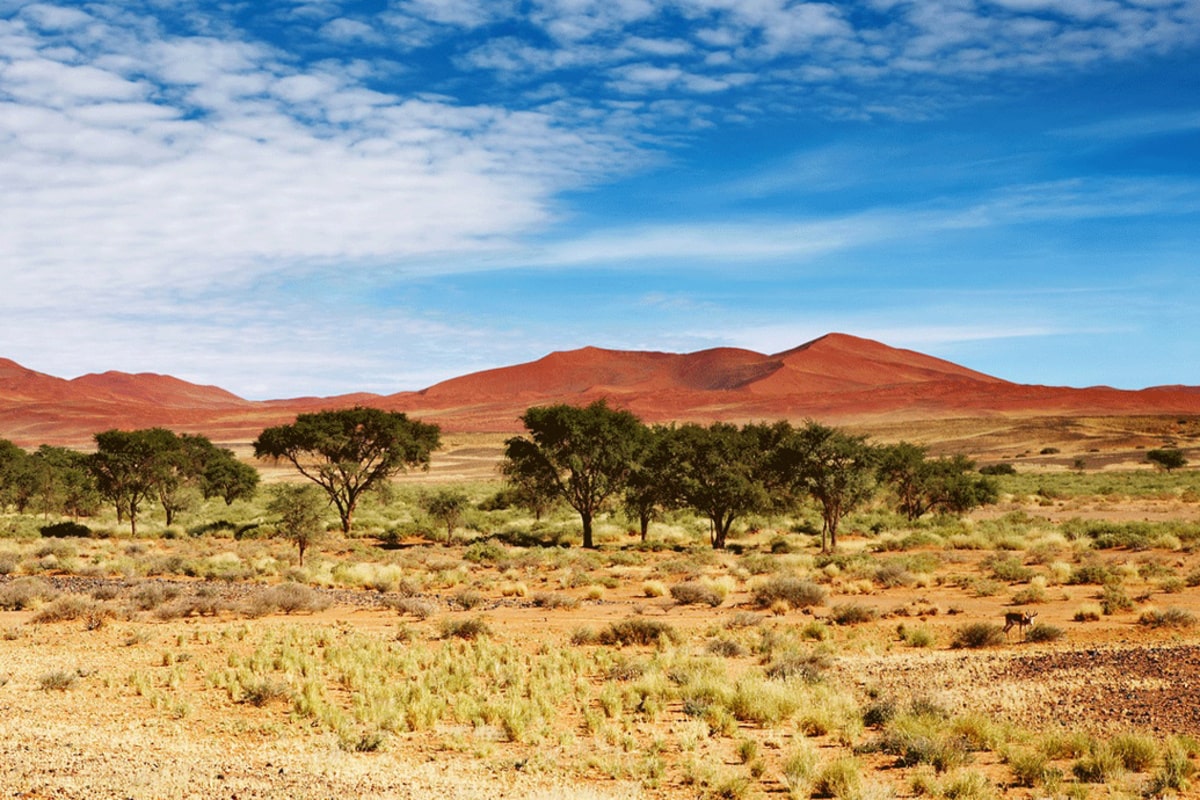 Interesting Facts About the Kalahari