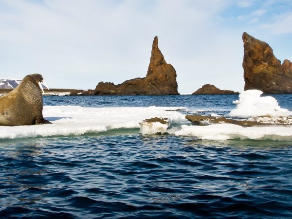 Ciekawostki o Morzu Karskim