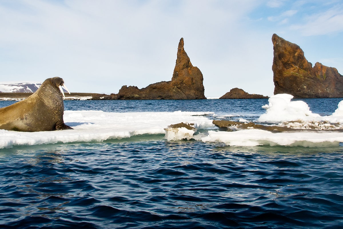 Ciekawostki o Morzu Karskim