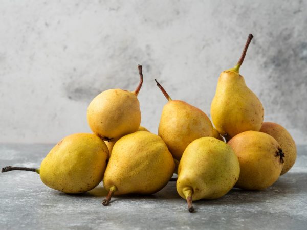 Ciekawostki o gruszkach