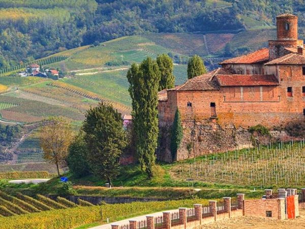 Interesting Facts About Piedmont