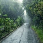 Жаңбырлар туралы қызықты деректер