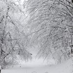 Интересные факты о снегопадах