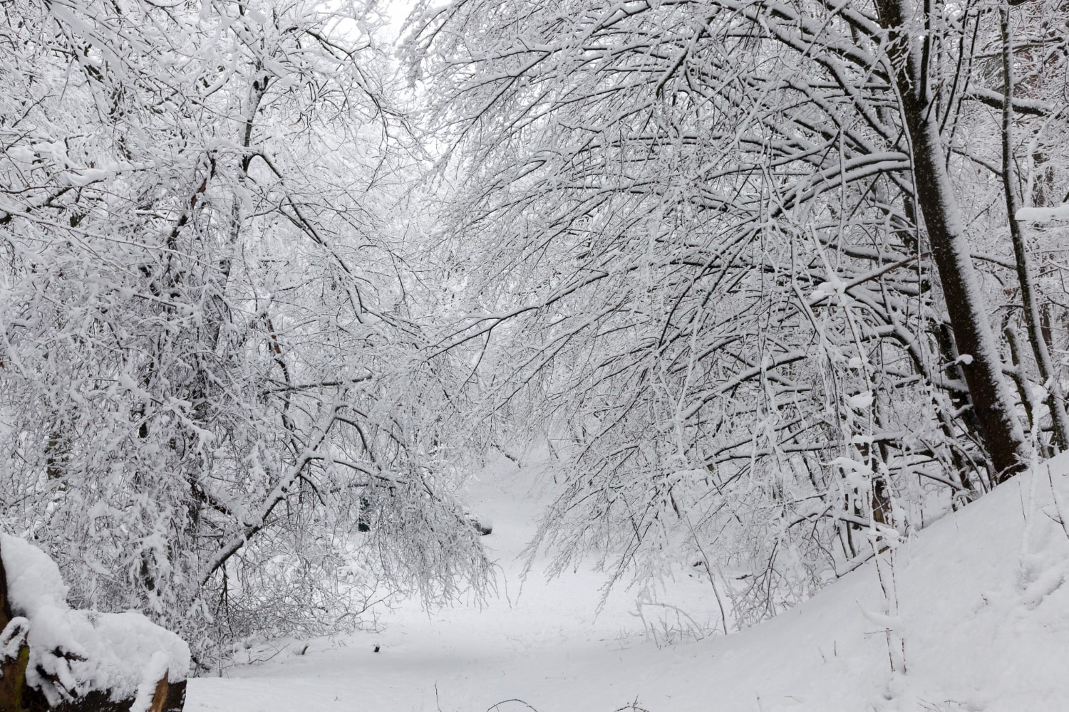 Интересные факты о снегопадах