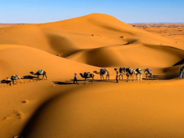 Цікаві факти про Тар