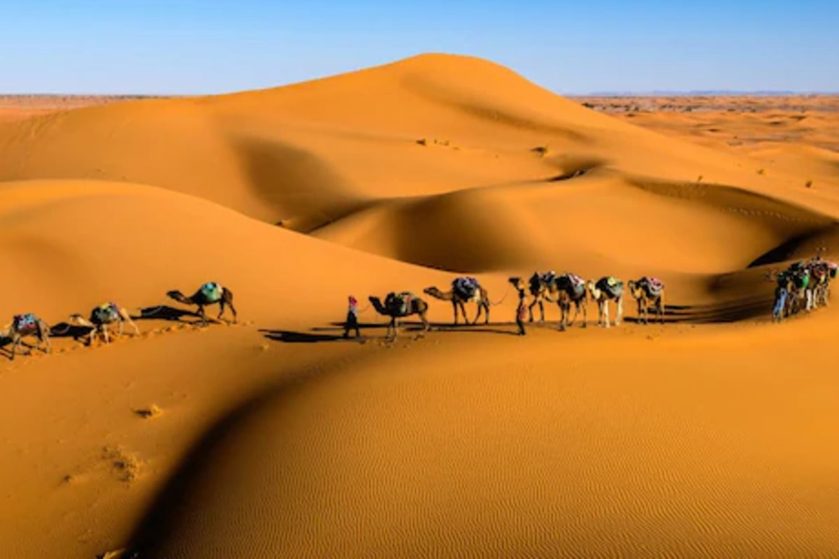 Interesting Facts About the Thar