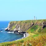 Interesting Facts About Capes