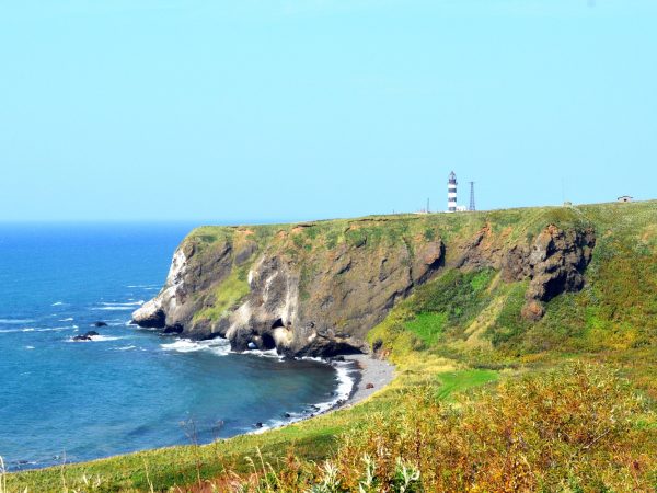 Interesting Facts About Capes