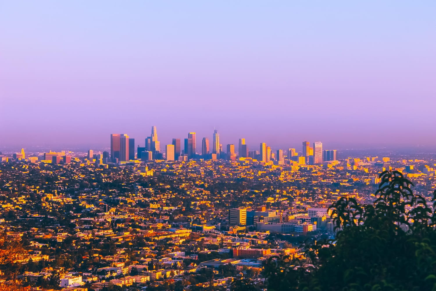 Interesting Facts About Los Angeles