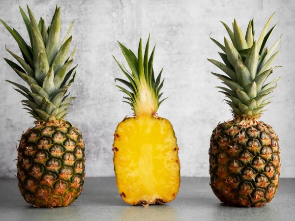 Interesting Facts About Pineapples