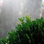 Interesting Facts About Heavy Rainfalls