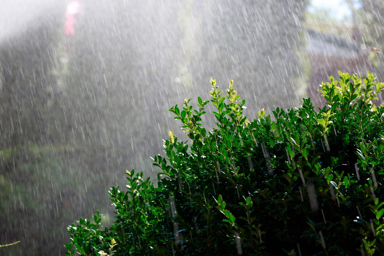 Interesting Facts About Heavy Rainfalls