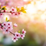 Цікаві факти про весну